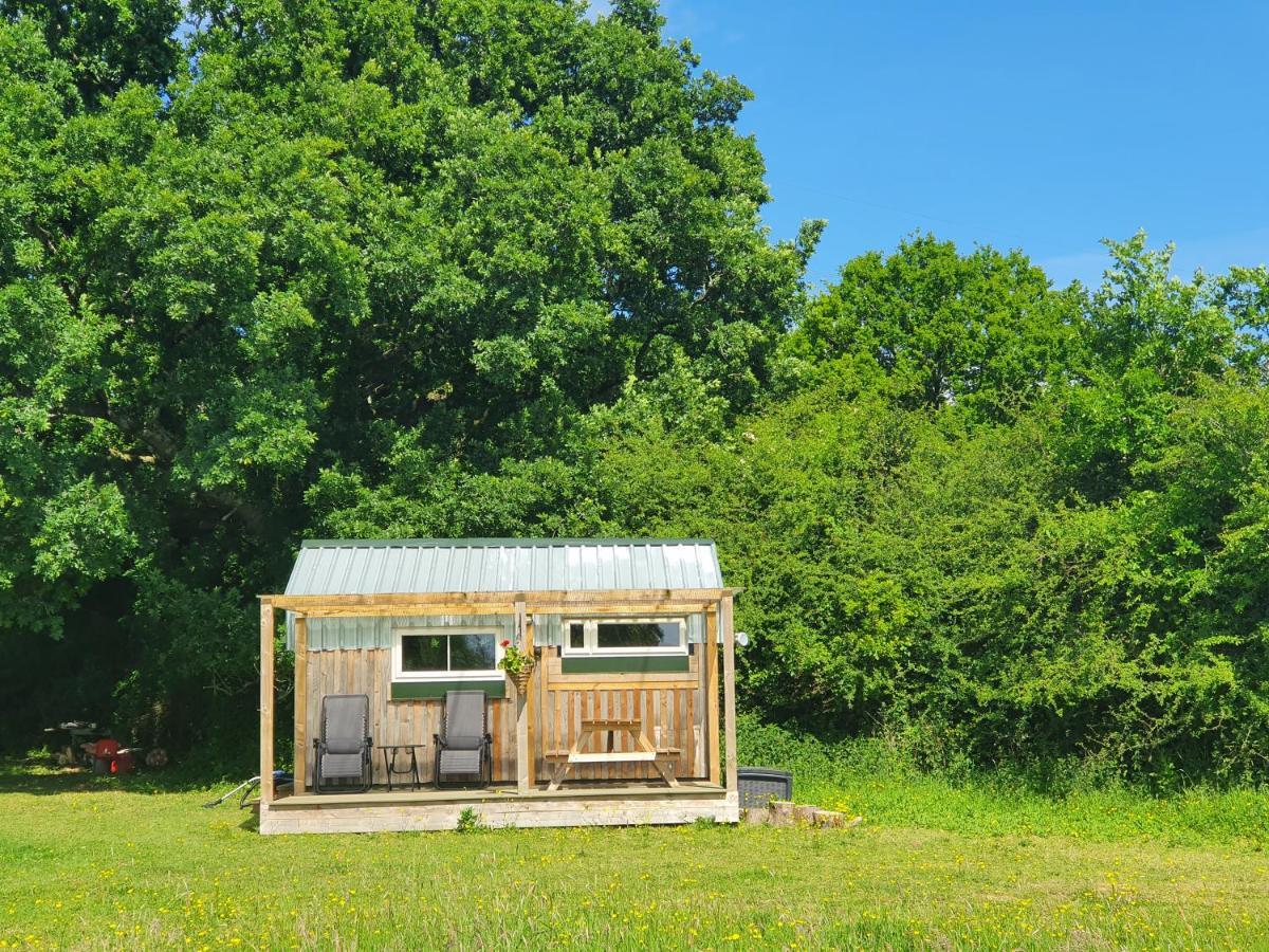 Dartmoor Reach Alpaca Farm Heated Cabins 5 Mins Drive To Dartmoor Bovey Tracey Exterior photo